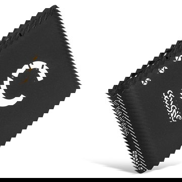 VW-VBX070 Battery for Panasonic HX-DC1, HX-DC2, HX-DC3, HX-DC10, HX-WA10 740mAh Camera Battery Replacement VW-VBX070