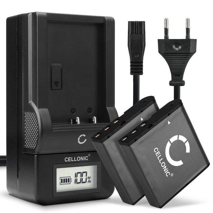 2x Ersatz Akku NP-40 + Ladegerät für Besteker F301, 302S, HDV-D328, HDV-VD2, HDV-Z28, DDV-V6, DDV-V8, HDV-301S FHD Kamera - 950mAh Ersatzakku Batterie, Ladekabel, Akkuladegerät