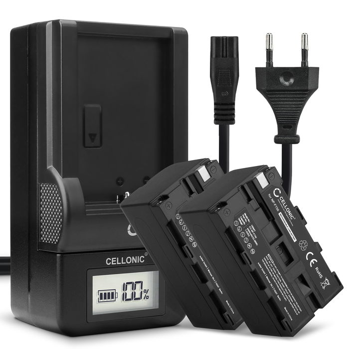 2x Sony NP-F550 Akku Batterie