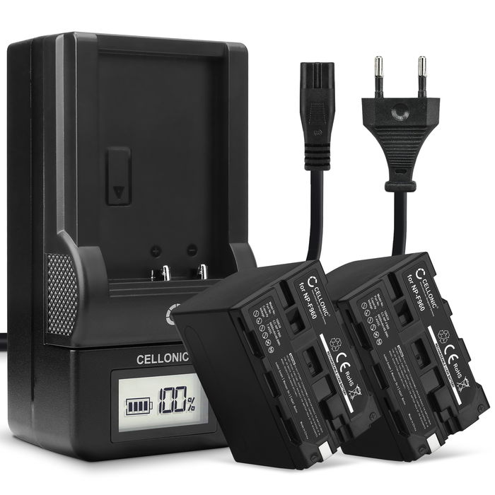 2x Ersatz Akku NP-F930 NP-F950 NP-F960 NP-F970 XL-B2 XL-B3 + Ladegerät BC-VM50 für Sony DSR-PD150 PD170 FDR-AX1 DCR-VX2100 GV-D200 HDR-FX7e FX1 FX1000 Kamera - 6600mAh Ersatzakku Batterie, Ladekabel, Akkuladegerät