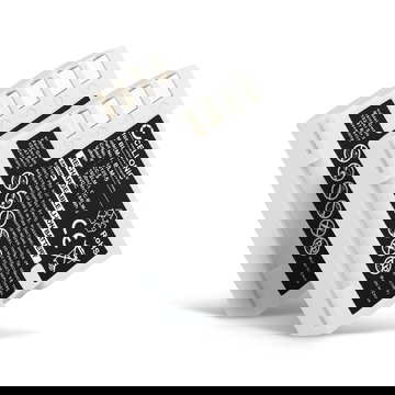 2x BLM-1 BLM-5 Ersatz Akku für Olympus E-520 E-510 E-500 E-5 E-3 E-1 E-330 E-300 E-30 C-8080 C-5060 C-7070 - Kamera Ersatzakku - Kameraakku 1600mAh, Batterie