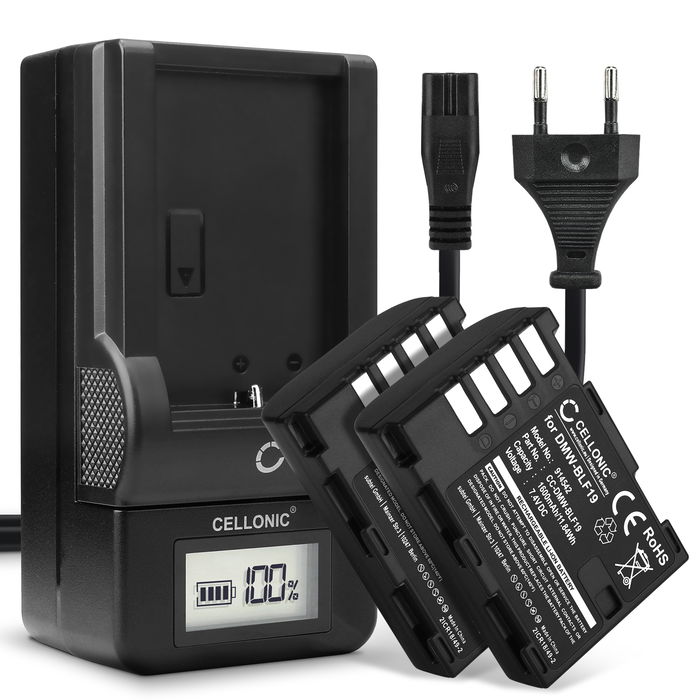 2x Ersatz Akku DMW-BLF19E + Ladegerät DMW-BTC10 für Panasonic GH5 Lumix DC-GH5 DC-GH5s Lumix DMC-GH4 GH4 GH4r GH4h GH3 DMC-GH3h GH3a G9 DC-G9 Kamera - 1600mAh Ersatzakku Batterie, Ladekabel, Akkuladegerät