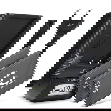 2x Ersatz Akku NP-BG1 NP-FG1 + Ladegerät BC-CSGB BC-CSGC für Sony DSC-H50 H3 H7 H9 H10 H20 H55 H70 H90 DSC-HX9V HX5V HX7V HX10V HX20V DSC-W55 Kamera - 900mAh Ersatzakku Batterie, Ladekabel, Akkuladegerät