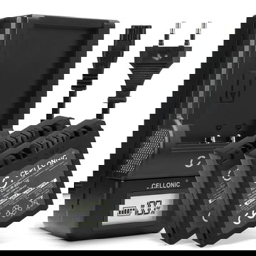 2x Ersatz Akku CGA-S002e CGA-S002e-1B CGR-S002 DMW-BM7 + Ladegerät für Panasonic Lumix DMC-FZ10 DMC-FZ20 DMC-FZ5 -FZ1 -FZ15 -FZ2 -FZ3 DMC-FC20 Kamera - 700mAh Ersatzakku Batterie, Ladekabel, Akkuladegerät