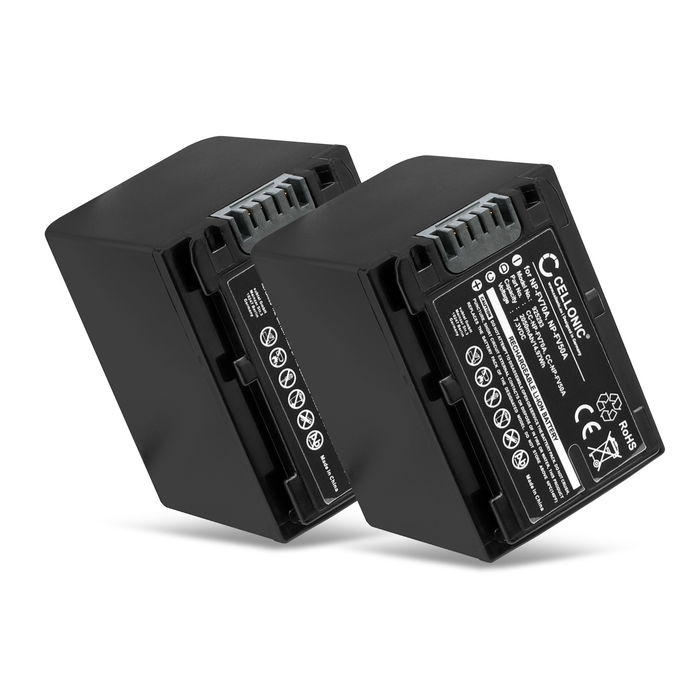 2x Sony NP-FV100 Akku Batterie