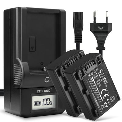 2x NP-FV70A NP-FV50A NP-FV30 NP-FV90 NP-FV100A Camera Battery + Charger Set for Sony FDR-AX33 AX53 AX100e HDR-PJ810 PJ530 PJ330 PJ260 HDR-CX625 CX900 HDR-XR550 NEX-VG900 650mAh Replacement Battery LCD Smart Charger