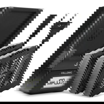 2x Ersatz Akku CGA-D54 CGR-D120 -D220 + Ladegerät für Panasonic AG-DVX100 NV-GS11 NV-DS60 NV-GS1 NV-DS27 NV-DS29 Kamera - 2200mAh Ersatzakku Batterie, Ladekabel, Akkuladegerät