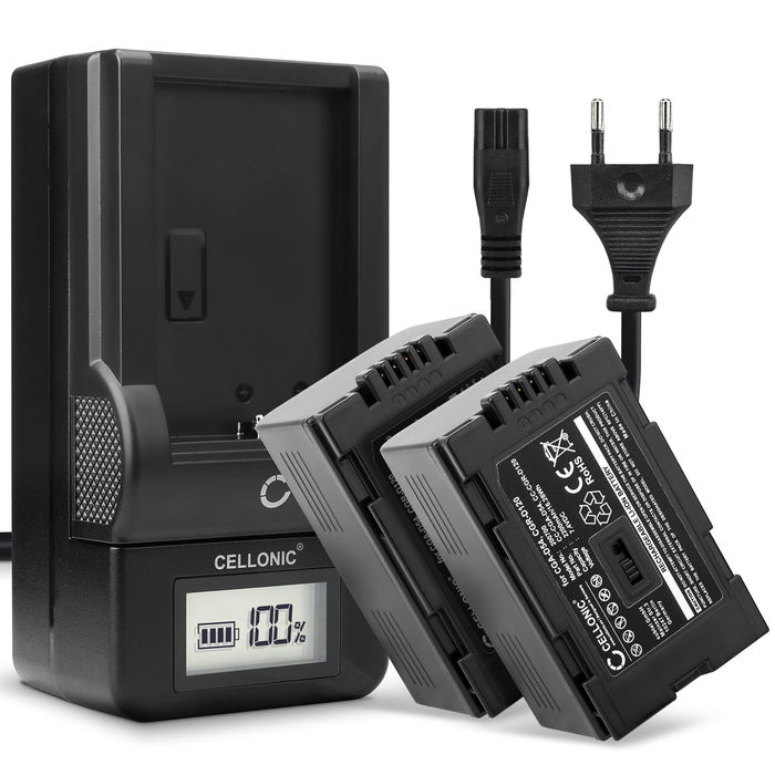 2x Akku für Panasonic NV-DS15 Kamera, Ersatzakku 2200mAh Batterie + Ladegerät