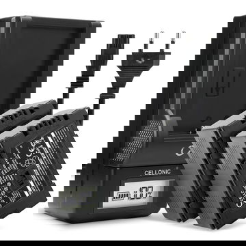 2x CGA-D54 CGR-D120 -D220 Camera Battery + Charger Set for Panasonic AG-DVX100 NV-GS11 NV-DS60 NV-GS1 NV-DS27 NV-DS29 NV-MX500 NV-DA1 NV-DS15 2200mAh Replacement Battery LCD Smart Charger