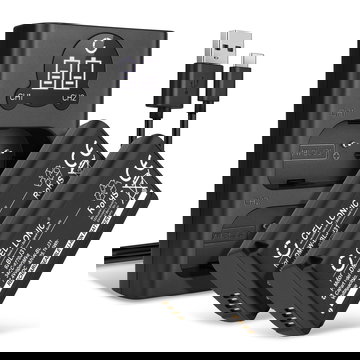 2x Kamera Akku für Panasonic Lumix DC-S1, Lumix DC-S1H, Lumix DC-S1R - DMW-BLJ31 + Dual Ladegerät DMW-BTC14E