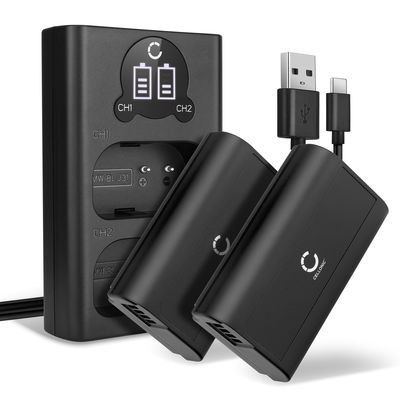 2x Kamera Akku für Panasonic Lumix DC-S1 Lumix DC-S1H Lumix DC-S1R, Lumix S1 - DMW-BLJ31 Ersatzakku 2200mAh + Dual Ladegerät DMW-BTC14E Ladekabel, Batterie