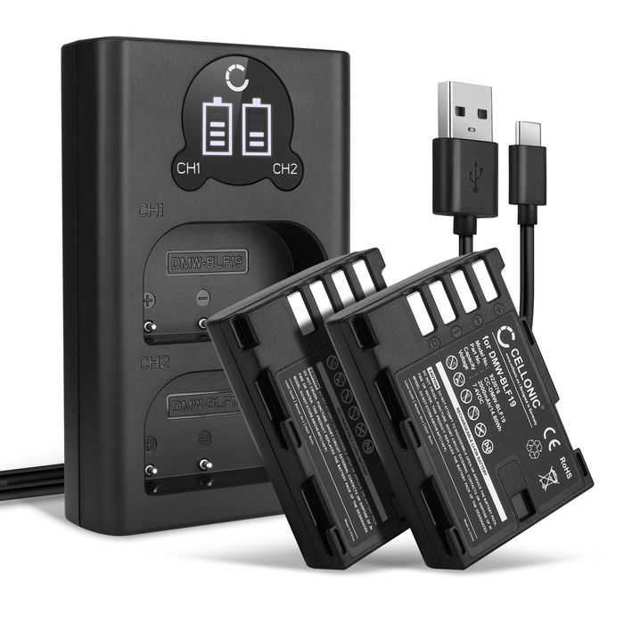 2x Kamera Akku für Panasonic Lumix DC-GH5s GH5 DMC-GH4 GH4 GH4r GH4h GH3 DMC-GH3h GH3a G9 DC-G9 - DMW-BLF19 DMW-BLF19E DMW-BLF19PP Ersatzakku 2000mAh + Dual Ladegerät DMW-BTC10E Ladekabel, Batterie