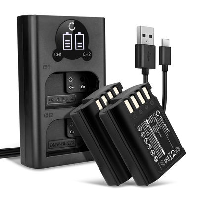 2x Kamera Akku für Panasonic Lumix G9, GH5S, DC-S5, DC-S5K, DC-GH5 II, DMW-BLK22, DMW-BTC15 - DMW-BLK22 Ersatzakku 2250mAh + Dual Ladegerät DMW-BTC15 Ladekabel, Batterie