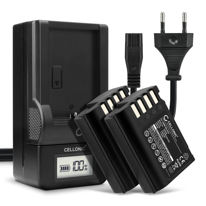 2x Ersatz Akku DMW-BLK22 + Ladegerät DMW-BTC15 für Panasonic Lumix G9 GH5 II GH5S DC-GH5 II DC-GH6 DC-S5 II DC-S5 IIX DC-G9 II Kamera - 2250mAh Ersatzakku Batterie, Ladekabel, Akkuladegerät